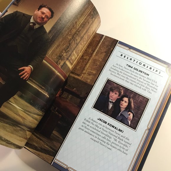 Fantastic Beasts and Where to Find Them: Character - Picture 13 of 16